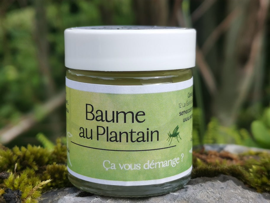 Baume au Plantain