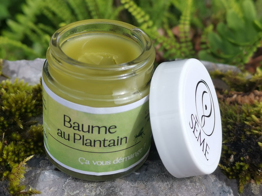 Baume au Plantain