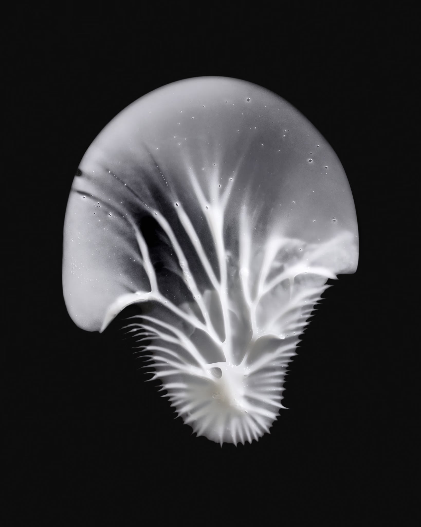 Crème Contour des Yeux "AGE PRO"