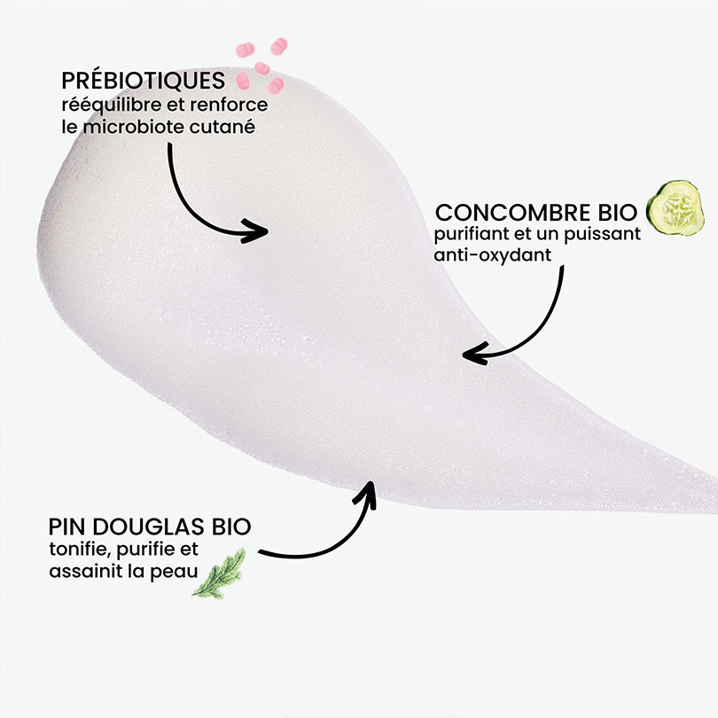 Mousse Nettoyante Purifiante