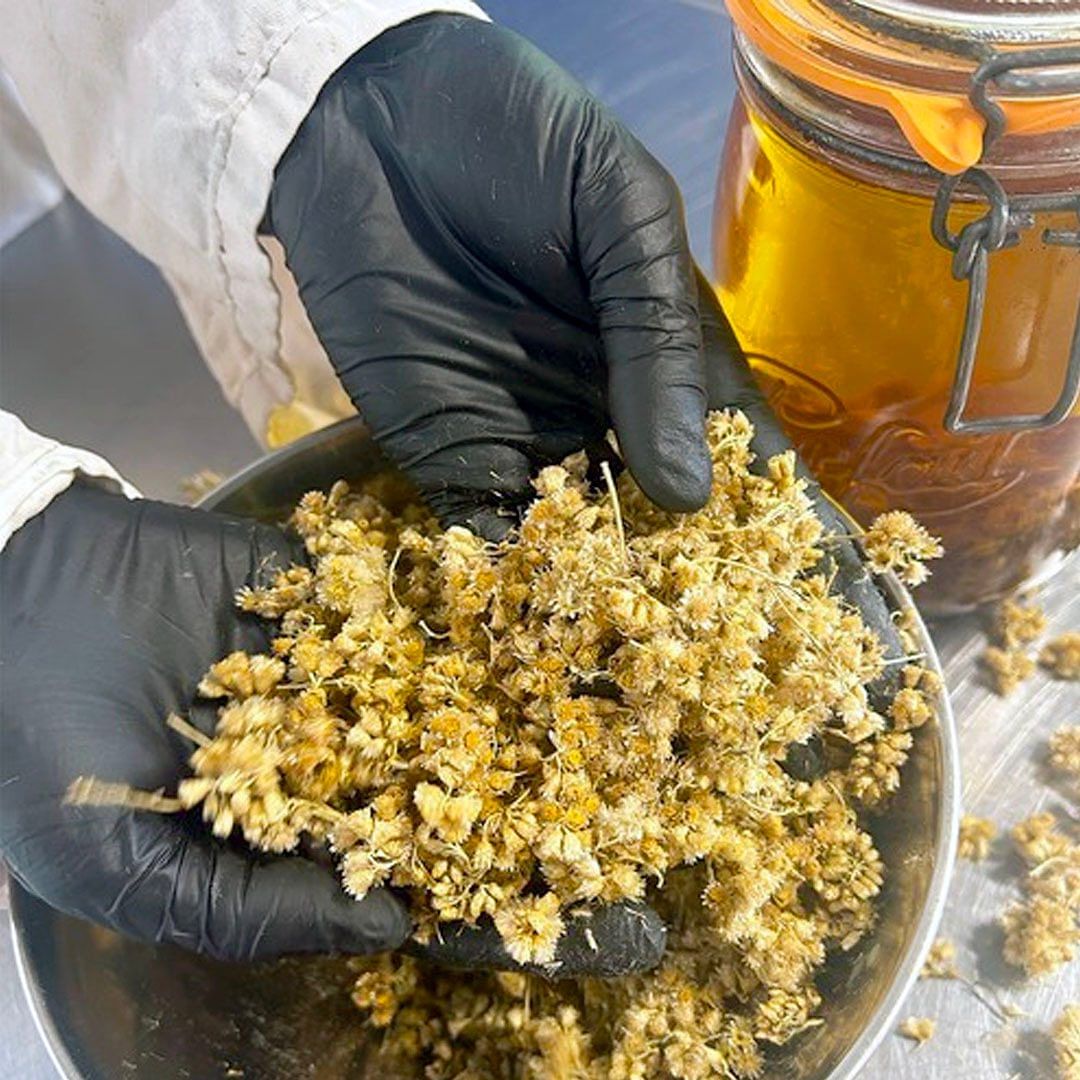 Baume Immortelle Concentré Réparateur