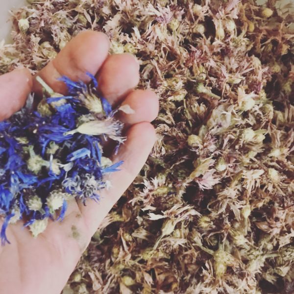 Eau Florale de Bleuet