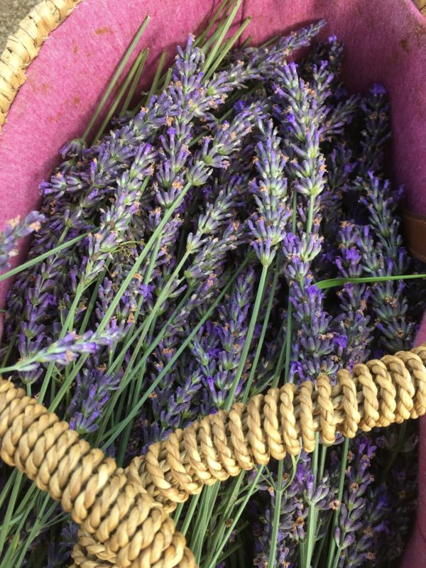 Eau Florale de Lavande Fine