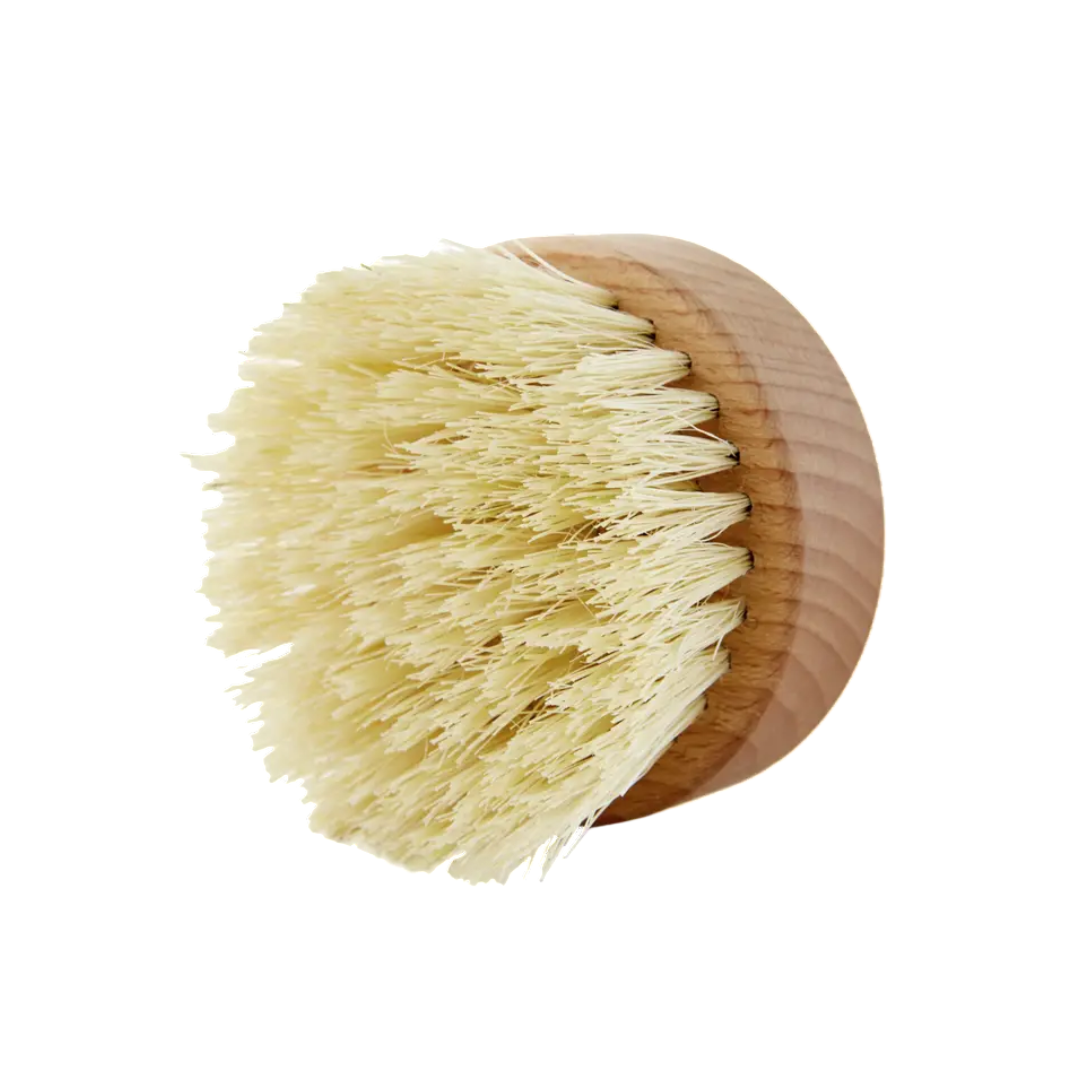Brosse de Massage à Sec