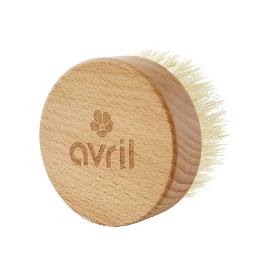 Brosse de Massage à Sec