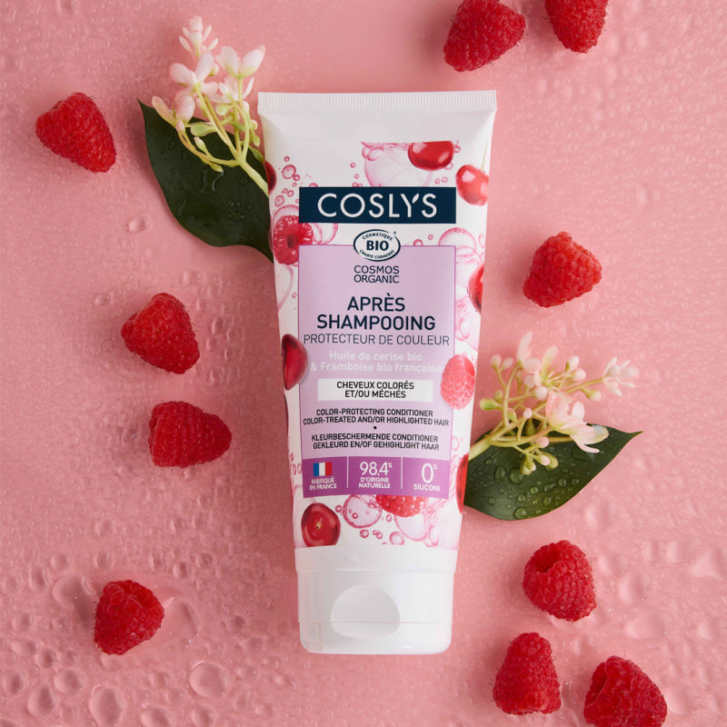 Après-Shampoing Protecteur de Couleur