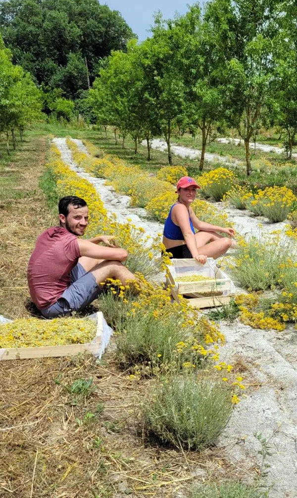 Baume Immortelle Concentré Réparateur