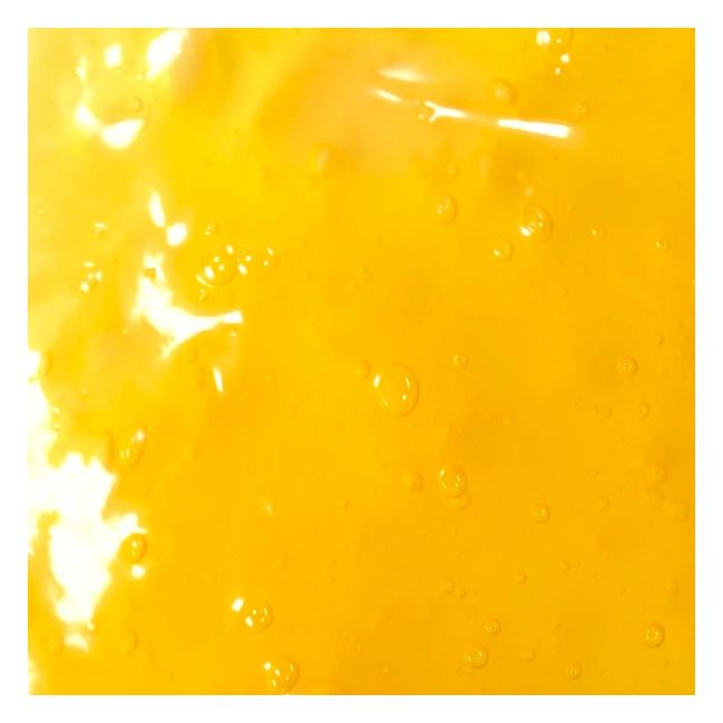 Gel Coiffant "Vegan Curl Gel"
