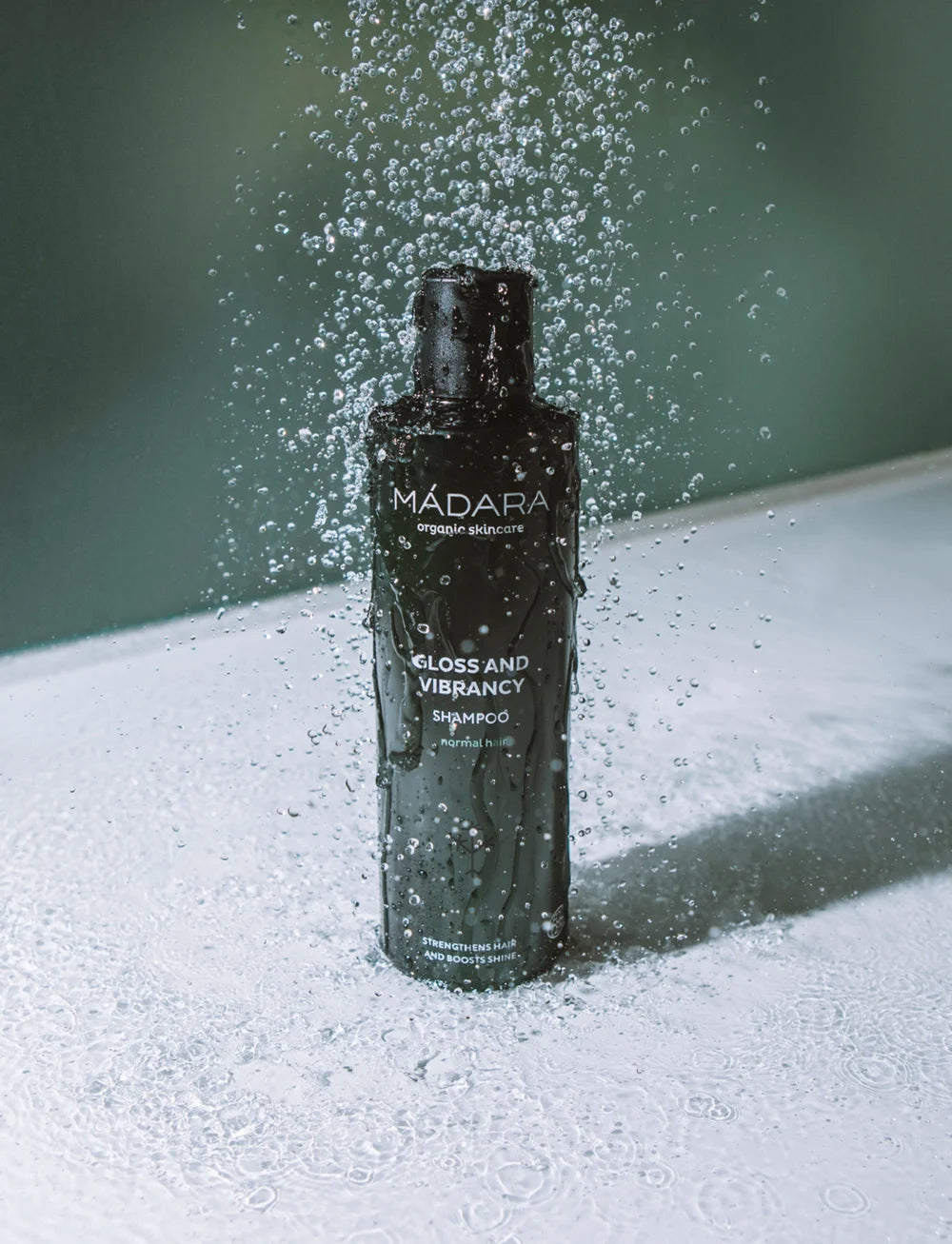 Shampoing Gloss and Vibrancy