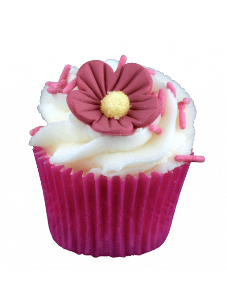 Mini Cupcake de Bain et de Douche