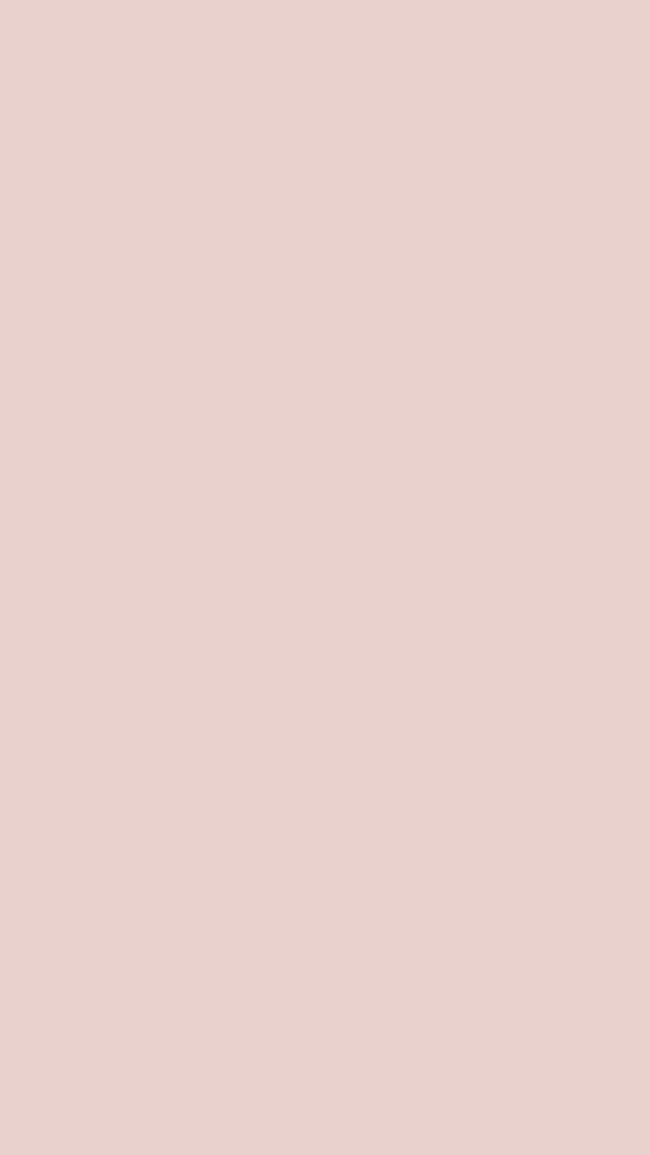 Mini Palette Magnétique (Vide)