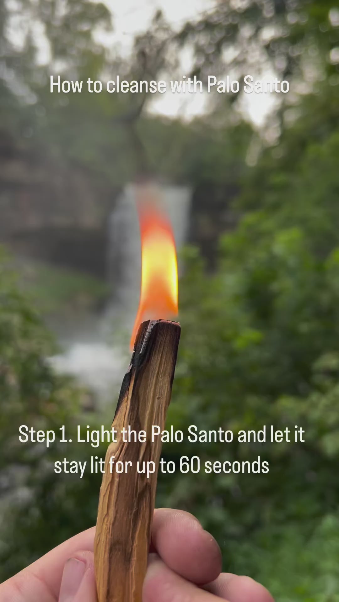 Palo Santo