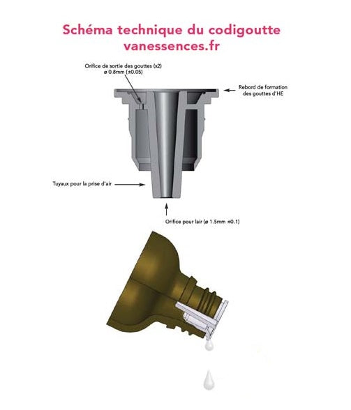 Flacon en Verre 100ml + Compte Goutte (Vide)