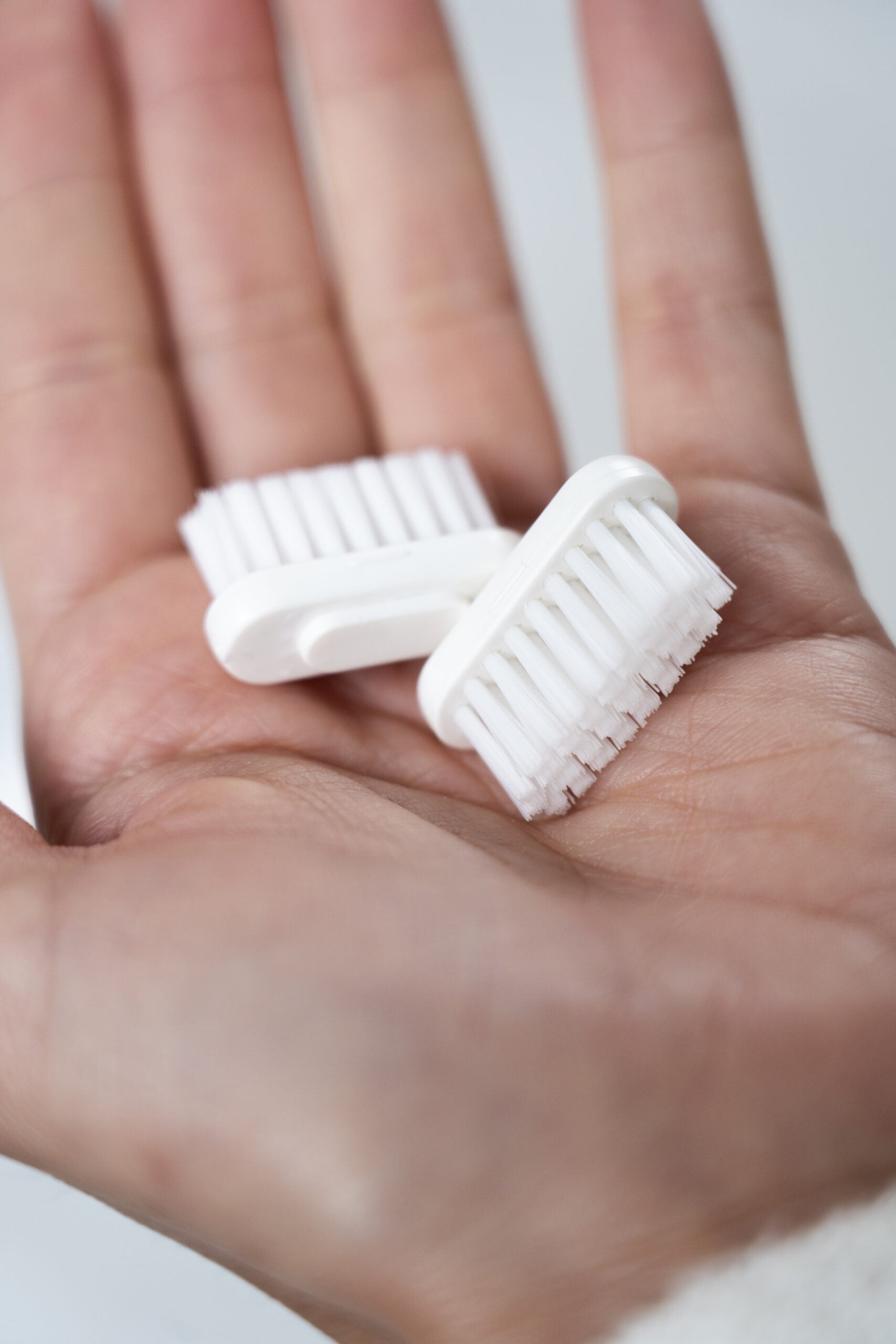 Recharge de Brosse à Dents Le Futé - Poils Medium (VRAC)