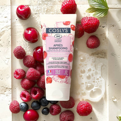 Après-Shampoing Protecteur de Couleur