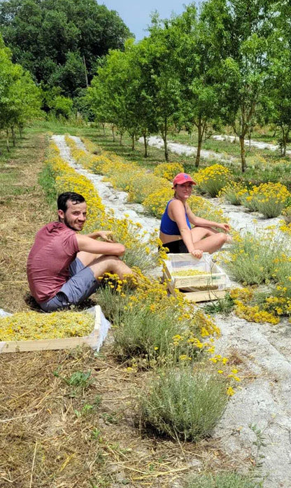 Baume Immortelle Concentré Réparateur