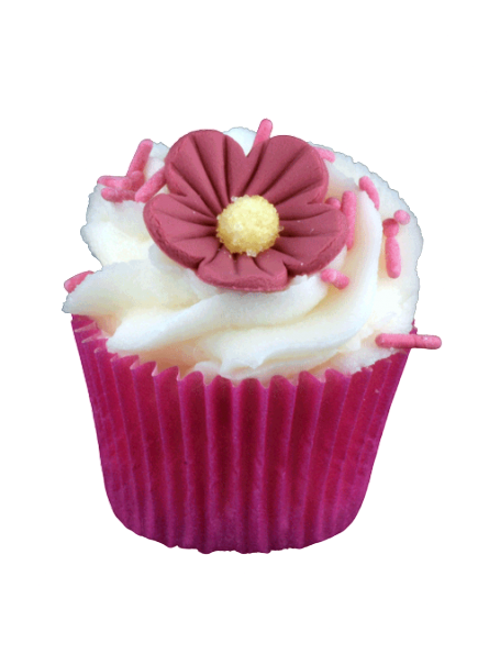Mini Cupcake de Bain et de Douche
