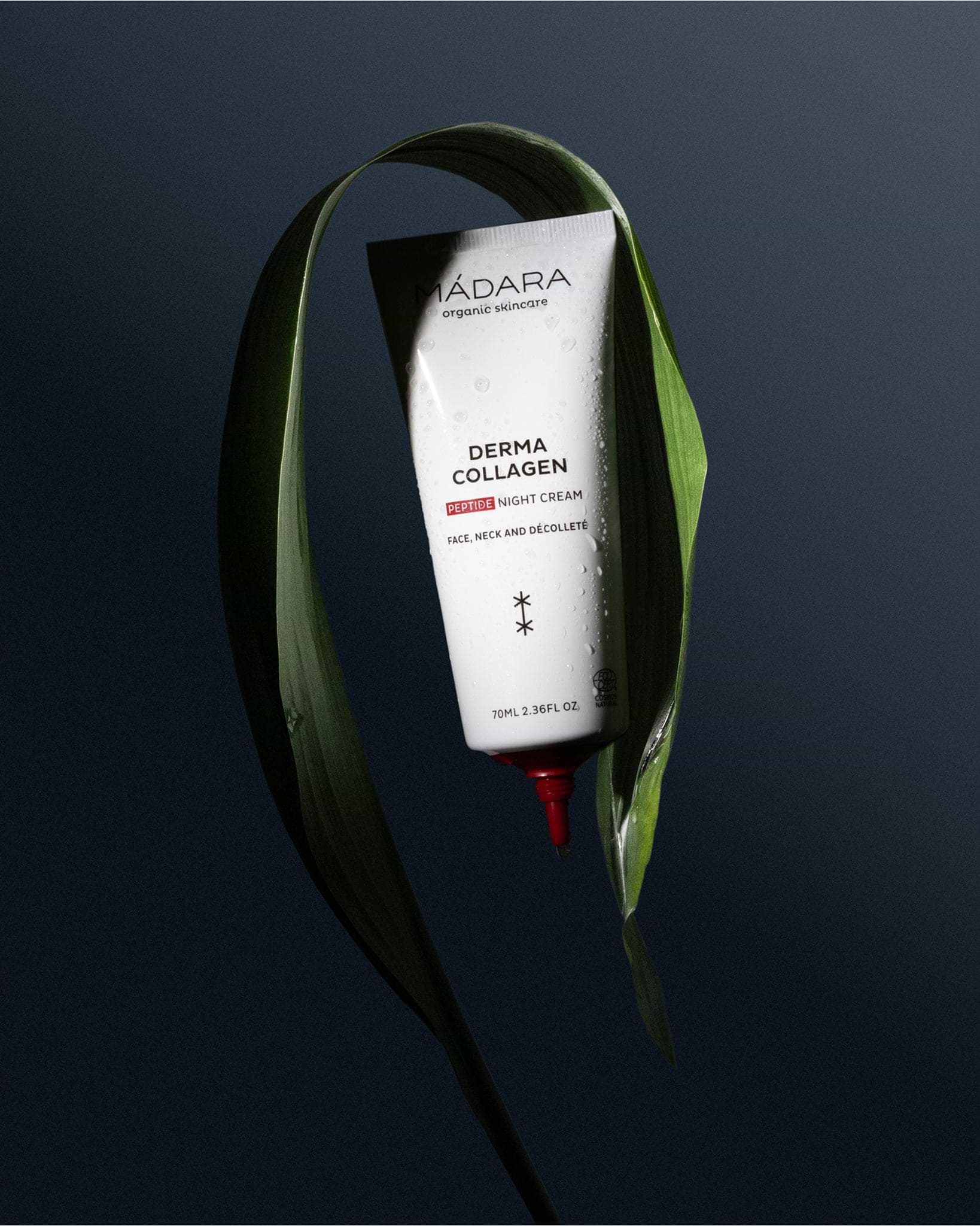 Crème de Nuit Peptide DERMA COLLAGEN