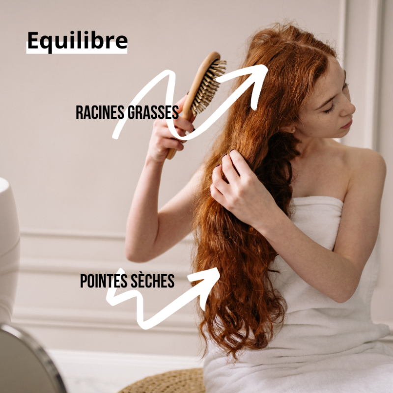 Shampoing Équilibre